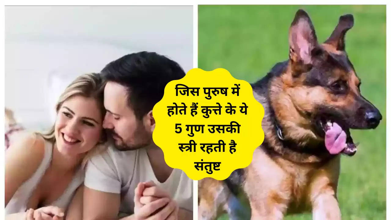 Chanakya Niti : जिस पुरुष में होते हैं कुत्ते के ये 5 गुण उसकी स्त्री रहती है संतुष्ट
