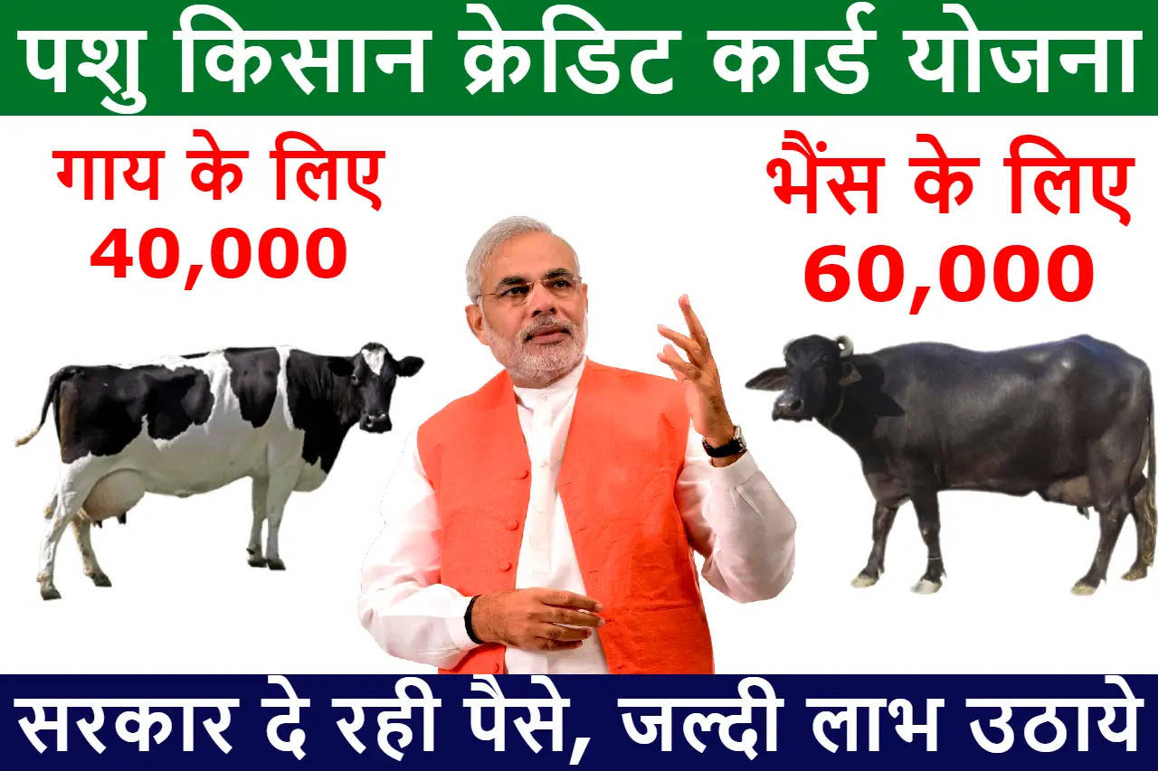 Pashu Kisan Credit Card Yojana: गाय भैंस खरीदने पर सरकार दे रही पैसे, नई योजना शुरू जल्दी लाभ उठाये